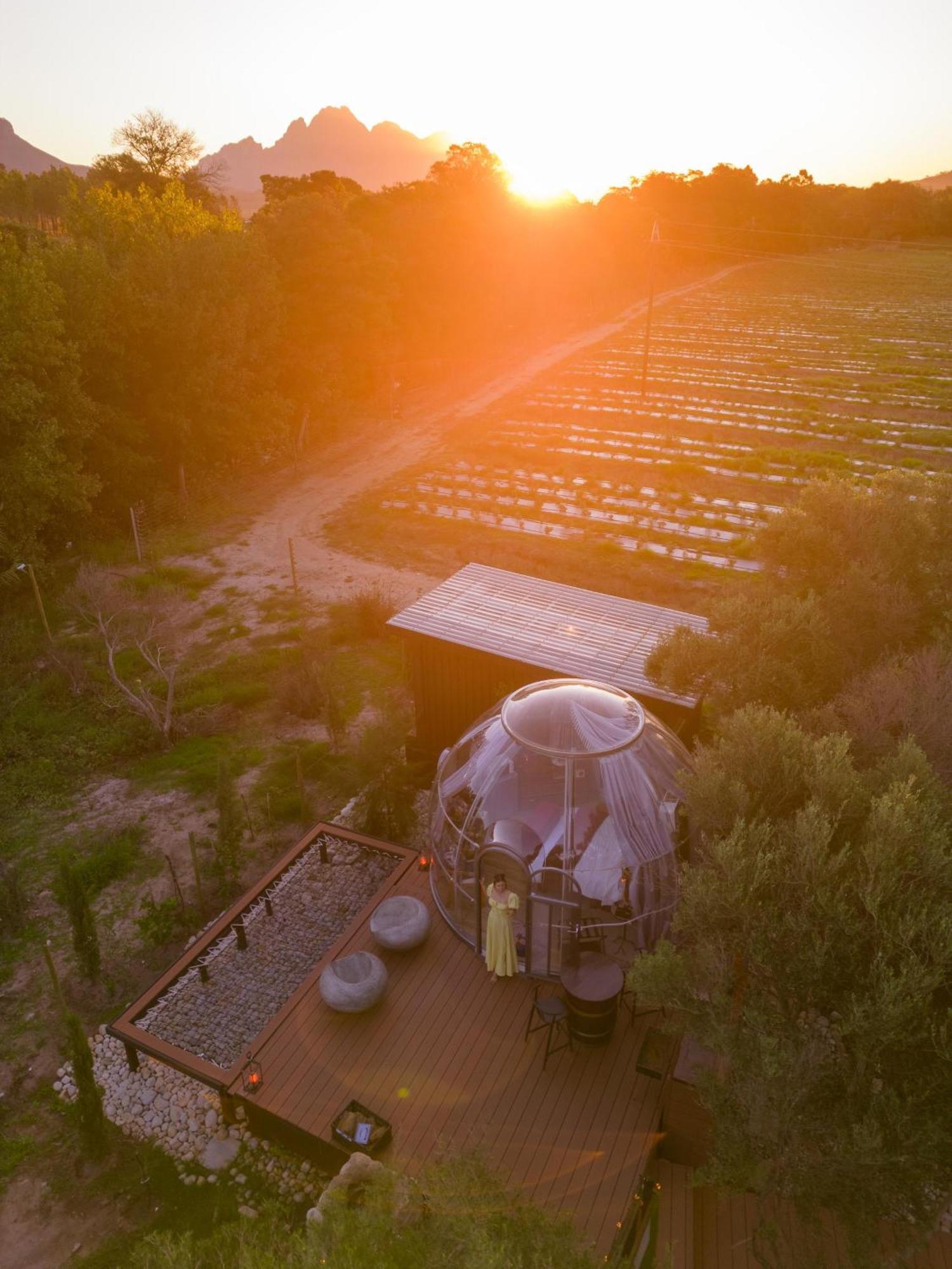 The Vino Dome By Once Upon A Dome Franschhoek Exterior photo